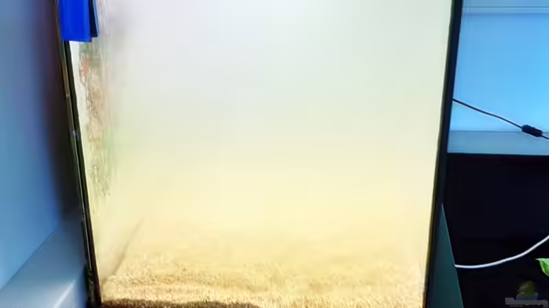 01.07.2011 von Sebastian Philipp (13)