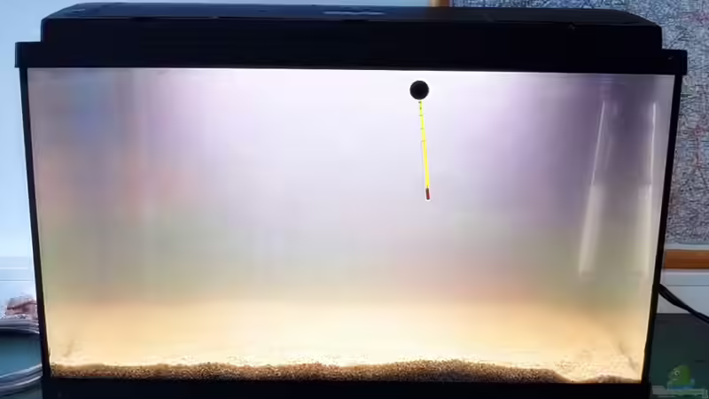 01.07.2011 von Sebastian Philipp (14)