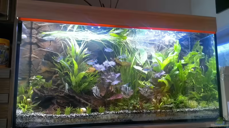 01.07.2014 von raubsau (35)