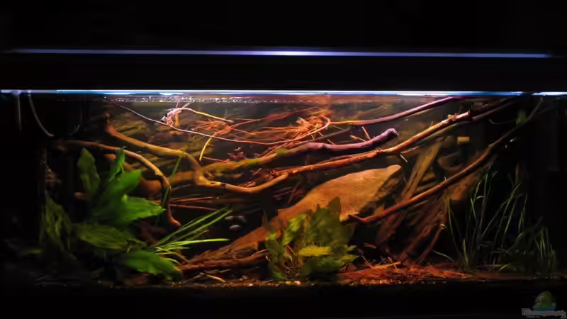 01.07.2015 ohne Diffusoreinsatz von der Theoretiker (12)