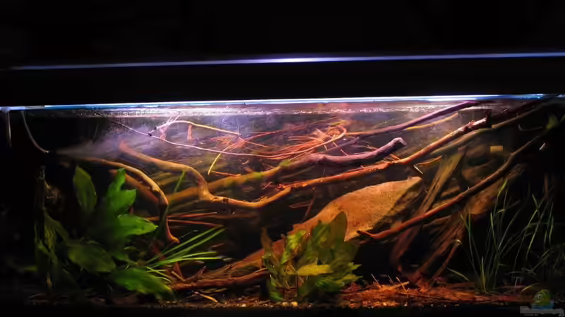 01.07.2015 voller Diffusoreinsatz von der Theoretiker (13)