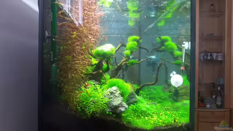 01.08.13  das becken ist 6 wochen alt von Panamericana85 (8)