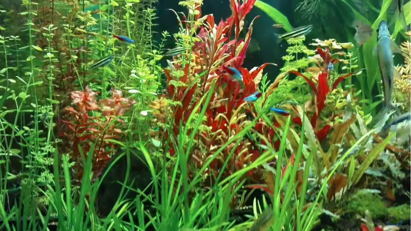 01/09  Bild von links von wasserspaß (3)