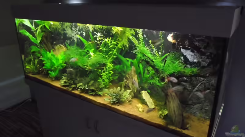 01.09.11 von Dr. Manhattan (11)