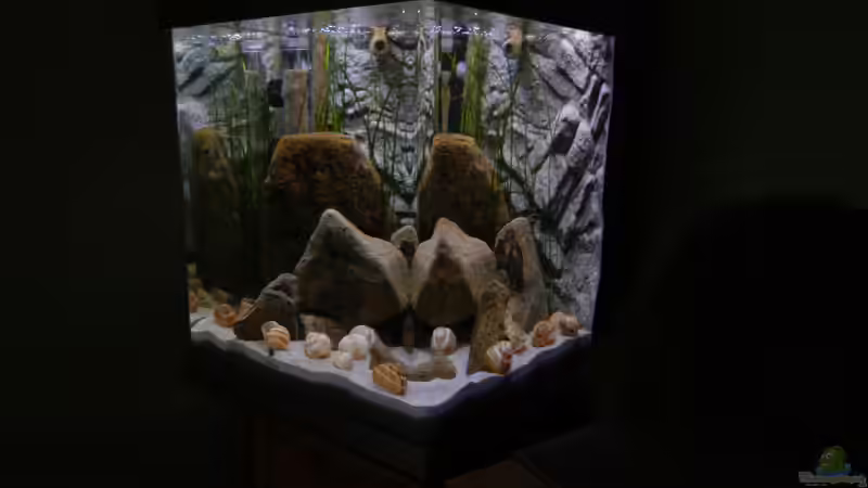 01.09.14 noch ohne Fische von Sambia (45)