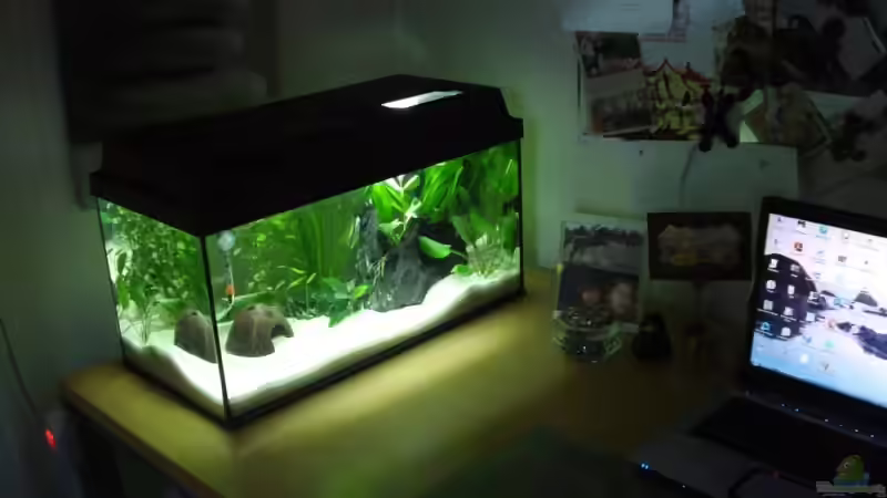 01.09.2008 von Laura (4)