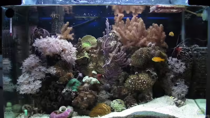 01.09.2009 von Merya (14)