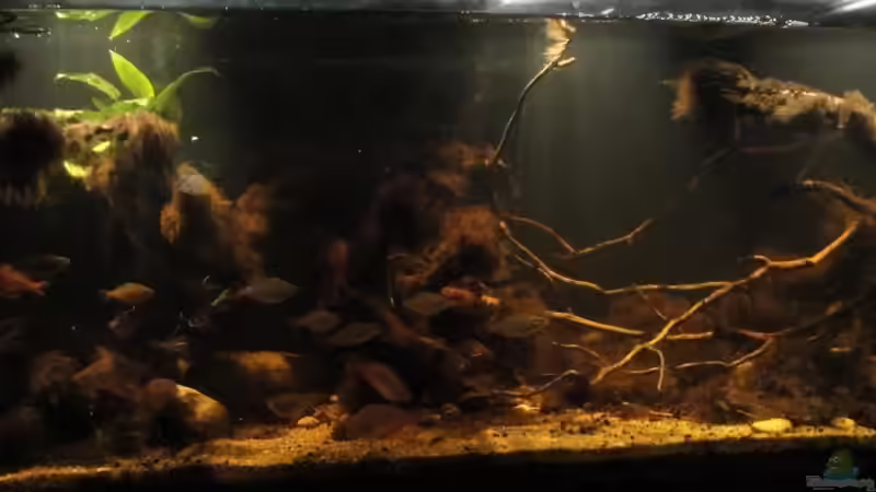 01.09.2015 von Laura (5)