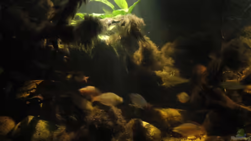 01.09.2015 von Laura (6)