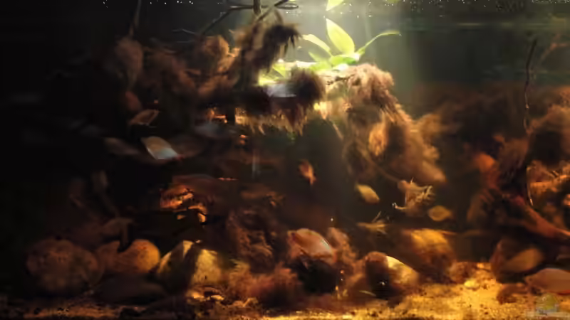 01.09.2015 von Laura (7)