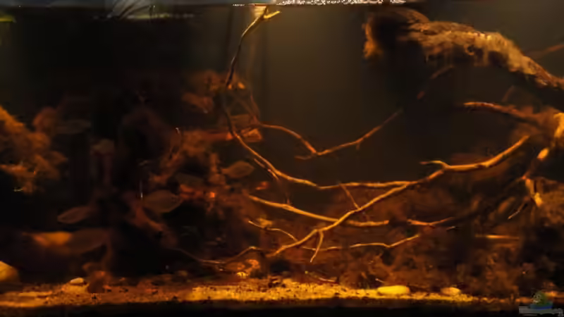 01.09.2015 von Laura (8)