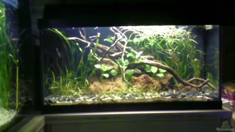 01/09 von ruepel-rocker (1)