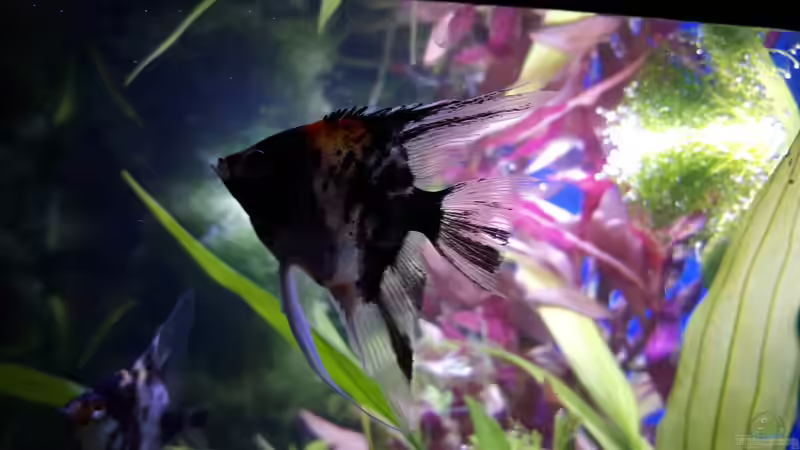 01.10.17 von .Andreas. (137)