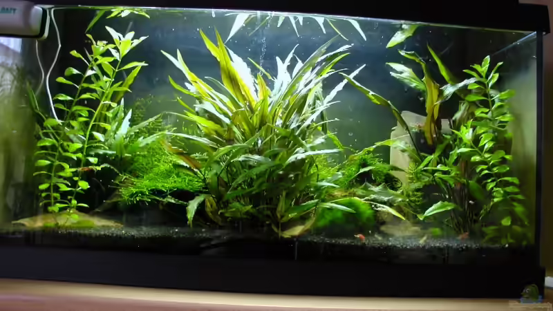 01.10.2008 von Matthias (3)