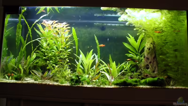 01.10.2008 von Matthias (4)