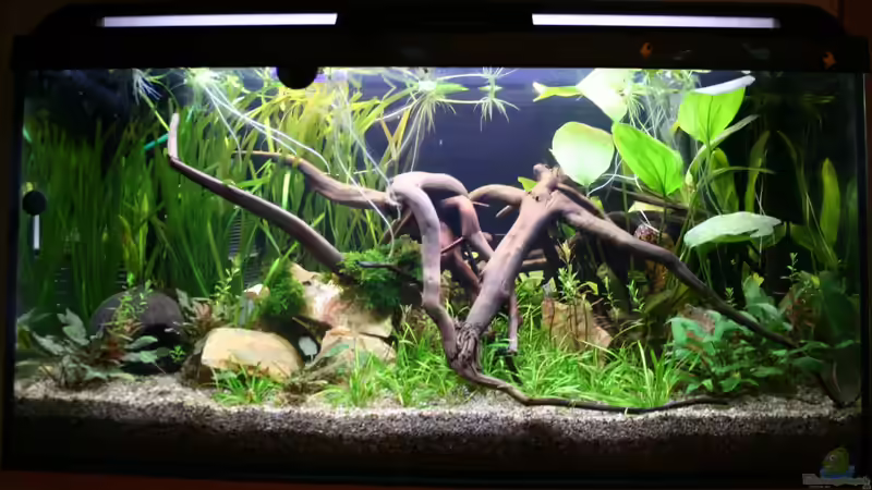 01.10.2012 Front von Mario K (2)