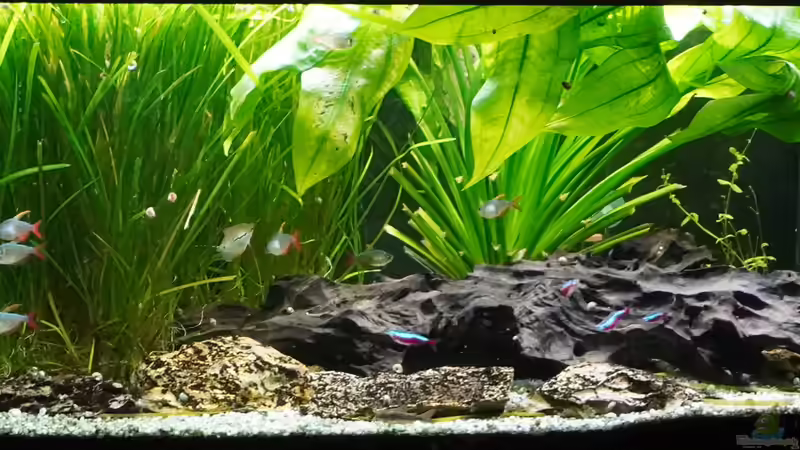 01.10.2023 von Pegnitz (24)