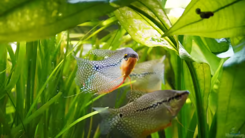 01.10.2023 von Pegnitz (25)