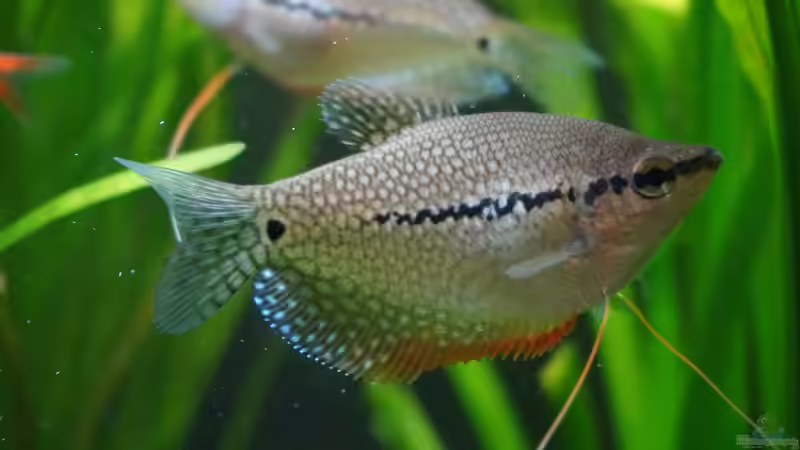 01.10.2023 von Pegnitz (26)