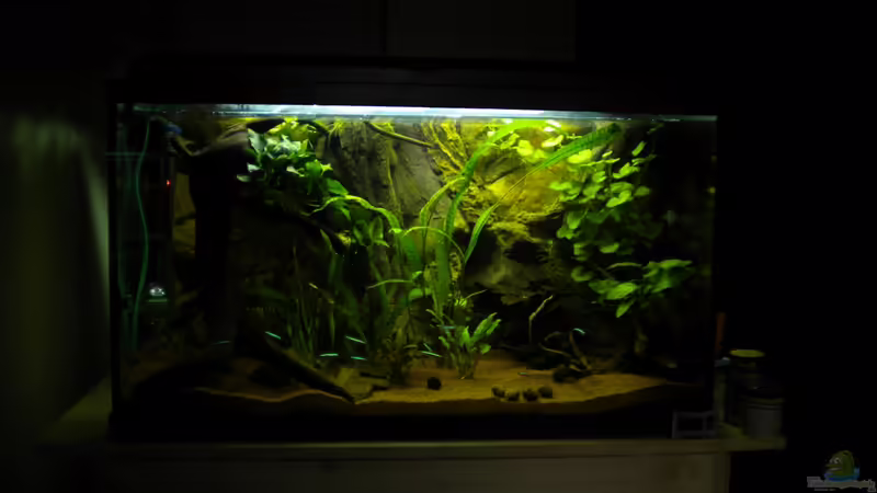 01.11.12 von Herki (2)