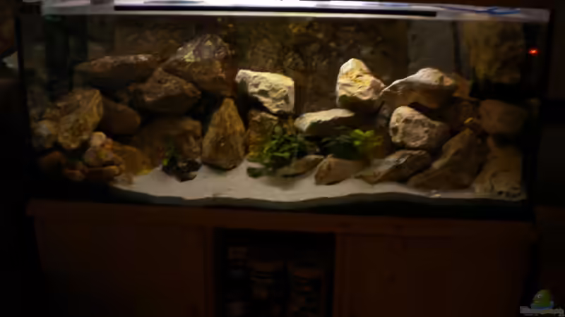 01.11.12 von Herki (3)