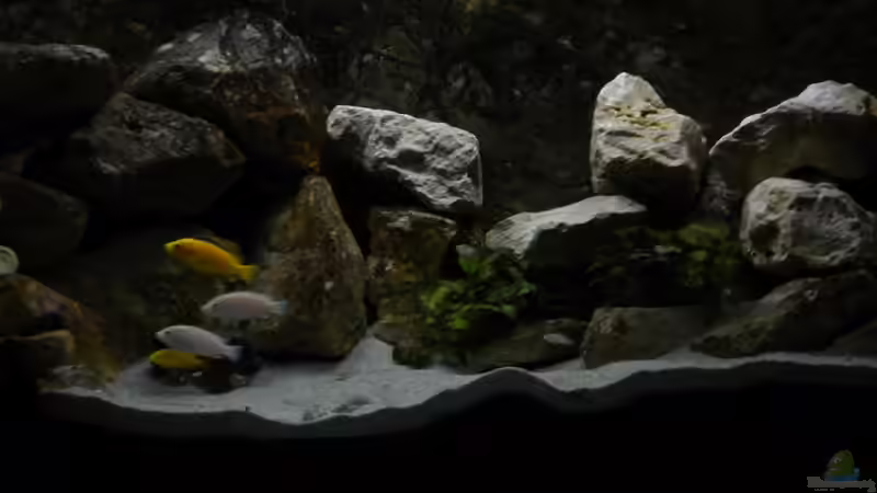 01.11.12 von Herki (5)