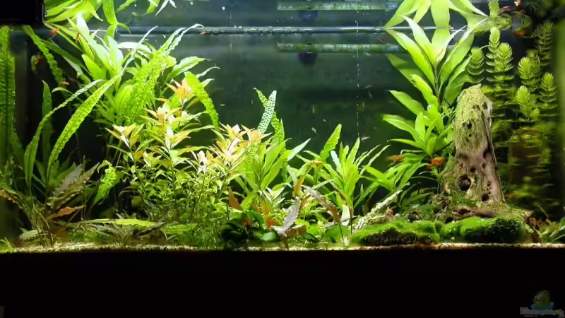 01.11.2008 von Matthias (5)