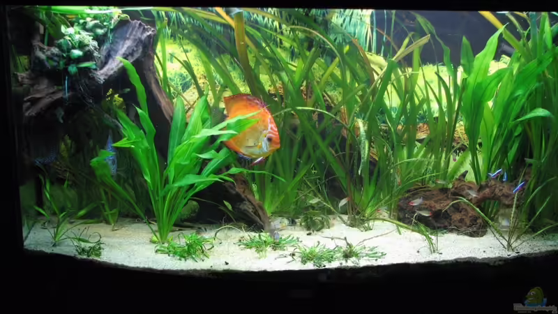 01.11.2010 von Stefan (8)