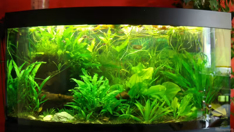 01.11.2011 von Welslau (10)