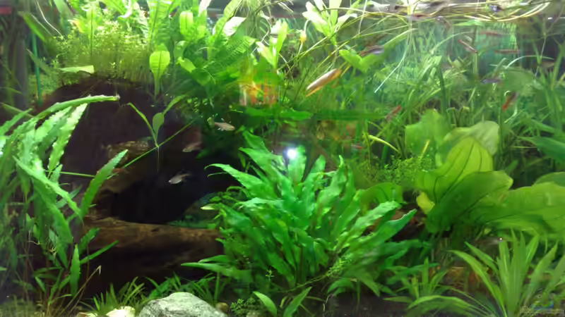 01.11.2011 von Welslau (9)