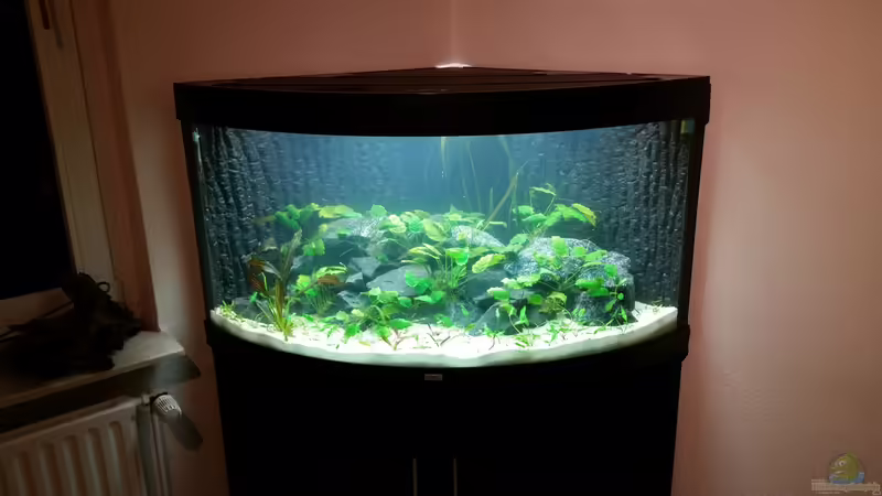 01.11.2014 Komplettansicht von Gunnar2060 (42)