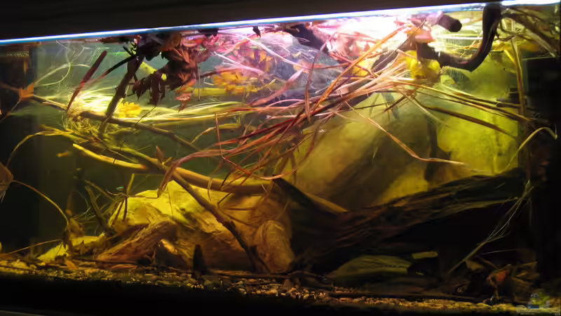 01.11.2016 von der Theoretiker (26)