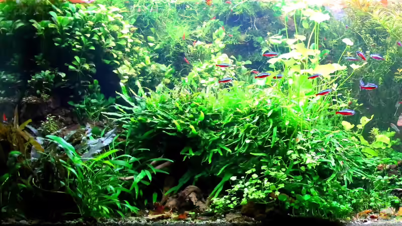 01.11.2018 - Links von brimar67 (8)