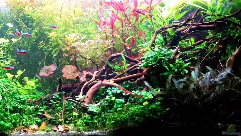 01.11.2018 Rechts von brimar67 (7)