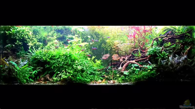 01.11.2018 von brimar67 (9)