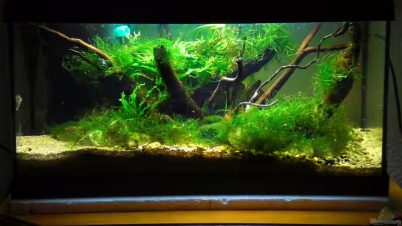 01.12.08 (ein Großteil der Filtermatte wurde entfernt) von Dominik (11)