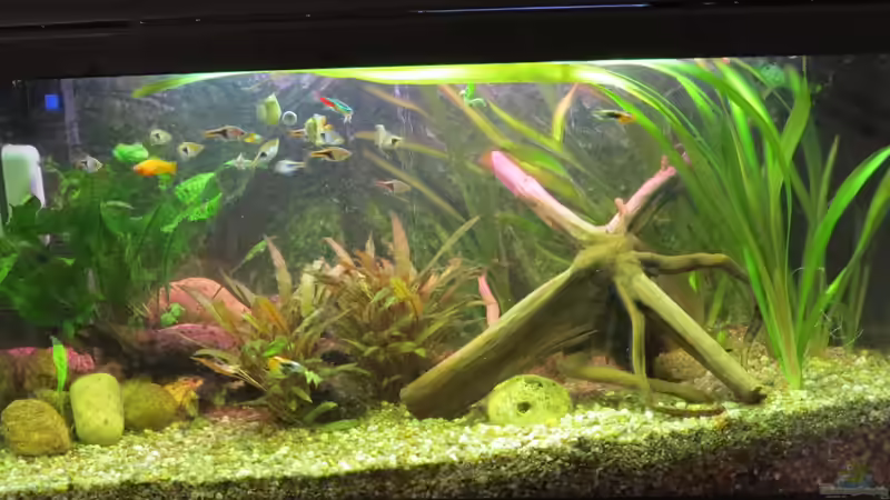 01.12.13 von Joni_99 (9)