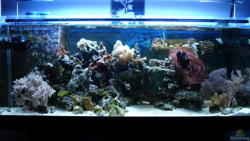 01.12.2012 von Jane Vogeler (27)