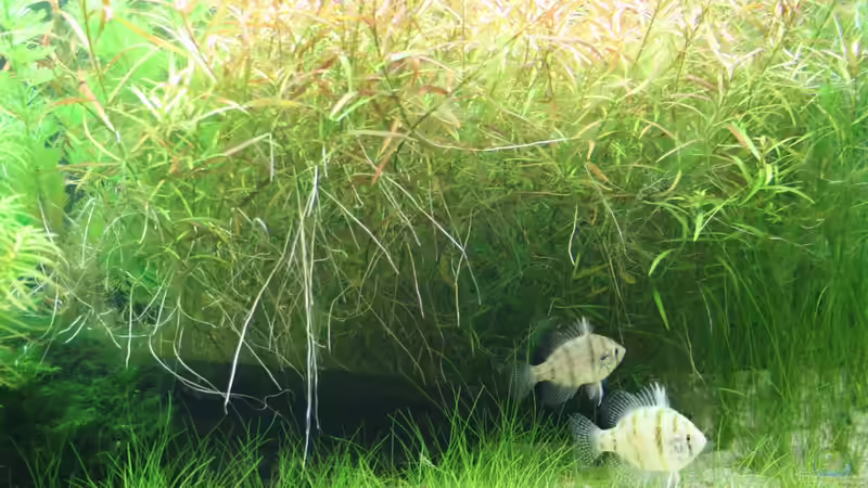 01.12.2012 von Susanne Axt (5)