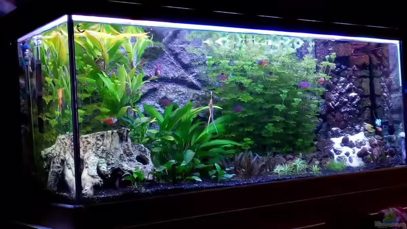 01.12,2017 von Josch_TJ (1)