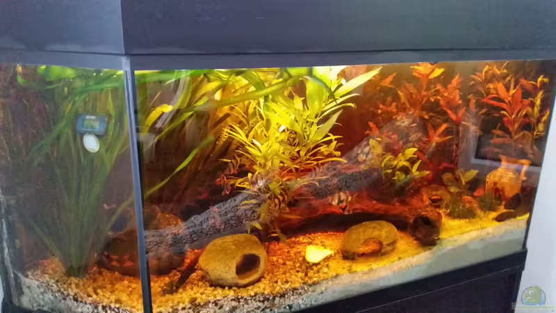 01.Juli 2016 von SvenDerGroße (4)