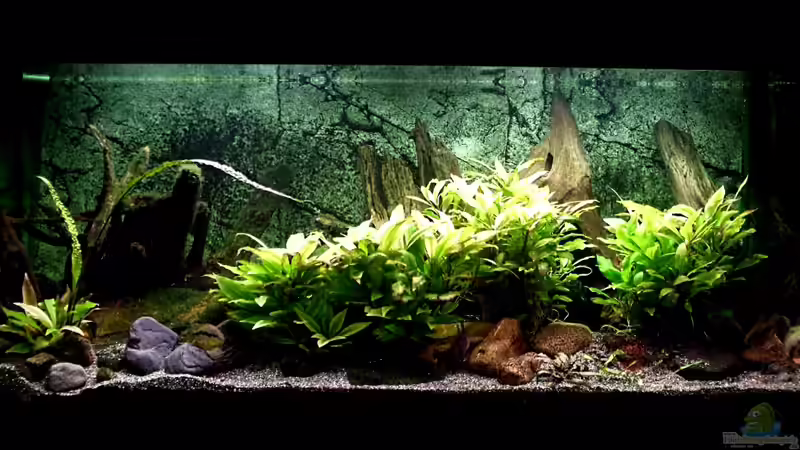 02.01.2013 von Christian Geese (1)