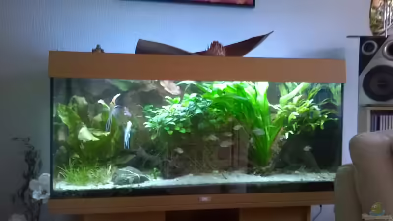 02.01.2015 von Schratze (19)