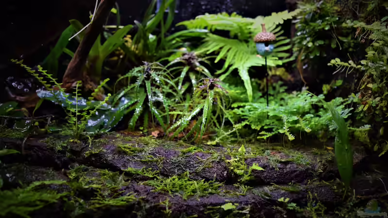 02.01.2019 von Junglist (56)