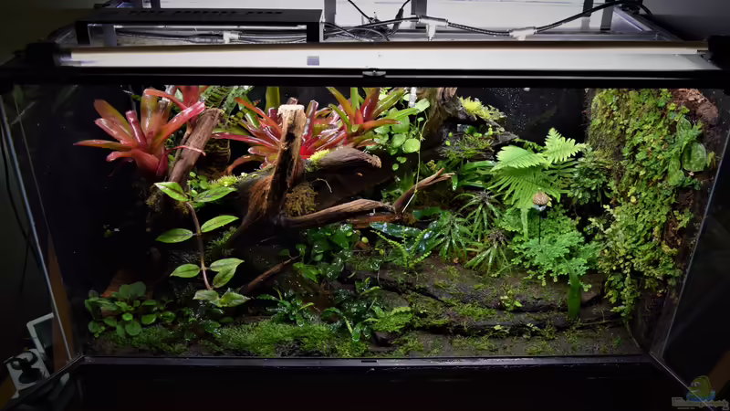 02.01.2020 von Junglist (12)