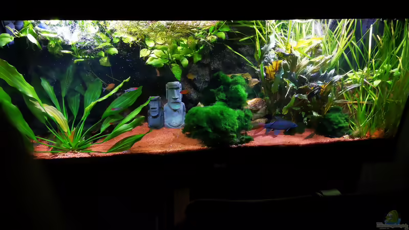 02.01.2023 von Mark H. (9)