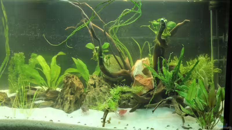 02.02.13 Becken Status Rechts von David B (10)