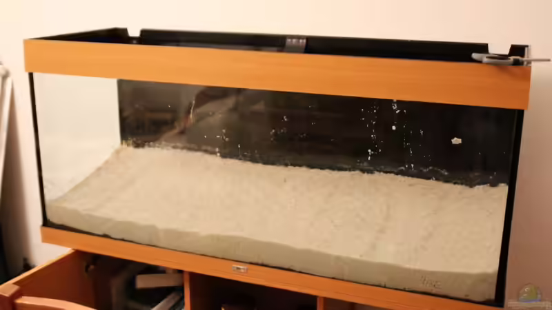 02.02.13 Einbringen des Bodengrunds von David B (4)