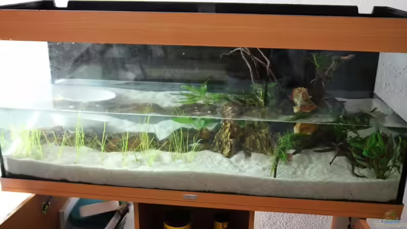 02.02.13 Ersten Pflanzen werden gepflanzt von David B (7)