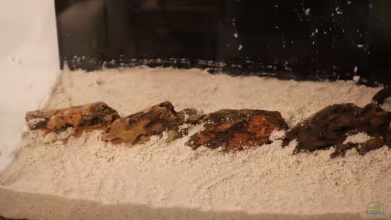 02.02.13 Hardscape² von David B (6)